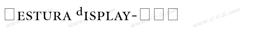 Gestura Display字体转换